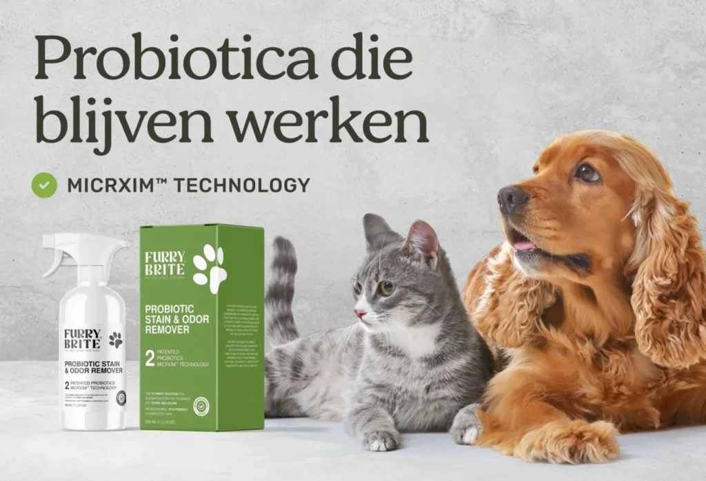 Geurverwijder vieze hondenlucht hond Geurverwijder vieze hondenlucht hond